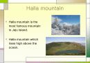 영어 발표 (Jeju island) 4페이지