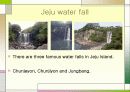 영어 발표 (Jeju island) 6페이지
