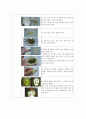 한국조리(3첩 반상, 여름 면상, 한과, 떡, 마른안주, 죽상, 여름 교자상, 겨울교자상)레시피 11페이지