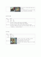 한국조리(3첩 반상, 여름 면상, 한과, 떡, 마른안주, 죽상, 여름 교자상, 겨울교자상)레시피 26페이지
