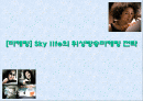 [마케팅] Sky life의 위성방송마케팅 전략 1페이지