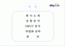 [마케팅] Sky life의 위성방송마케팅 전략 2페이지