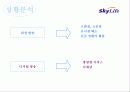 [마케팅] Sky life의 위성방송마케팅 전략 4페이지