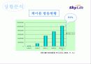 [마케팅] Sky life의 위성방송마케팅 전략 5페이지