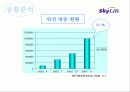 [마케팅] Sky life의 위성방송마케팅 전략 6페이지