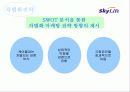 [마케팅] Sky life의 위성방송마케팅 전략 10페이지