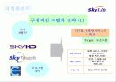 [마케팅] Sky life의 위성방송마케팅 전략 11페이지