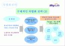 [마케팅] Sky life의 위성방송마케팅 전략 12페이지