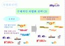 [마케팅] Sky life의 위성방송마케팅 전략 13페이지