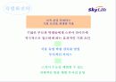 [마케팅] Sky life의 위성방송마케팅 전략 14페이지