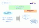 [마케팅] Sky life의 위성방송마케팅 전략 15페이지