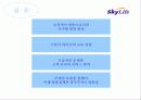 [마케팅] Sky life의 위성방송마케팅 전략 16페이지