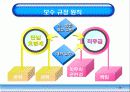 교육행정 48페이지