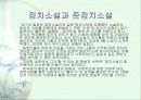 현대소설작가 이인직에 대해서 - 정치소설도 소설인가?  15페이지