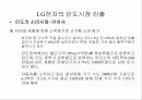 LG의 현지화 정책 29페이지
