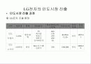 LG의 현지화 정책 35페이지