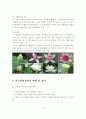 허브관광산업 전망과 허브산업 육성사례 연구 9페이지