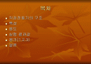 직권전동기의 부하특성 결과 1페이지
