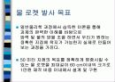 물로켓 발사 발표 ppt (공학입문설계) 4페이지