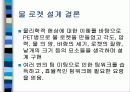 물로켓 발사 발표 ppt (공학입문설계) 18페이지