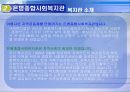 지역사회복지(ppt작업) 6페이지