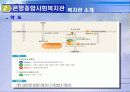 지역사회복지(ppt작업) 7페이지