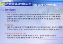 지역사회복지(ppt작업) 12페이지
