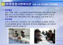 지역사회복지(ppt작업) 29페이지