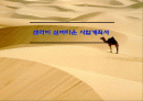 [벤처창업론]고령화시대의 유망사업 '실버타운' 사업계획서 (A+리포트) 1페이지