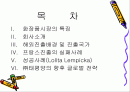 태평양 진출기.(파포) 2페이지