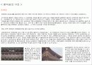 창덕궁의 기본 배치와 구조 3페이지