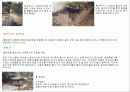 창덕궁의 기본 배치와 구조 25페이지
