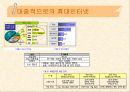 휴대인터넷 구축사례 4페이지