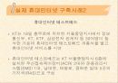 휴대인터넷 구축사례 13페이지