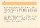 휴대인터넷 구축사례 14페이지