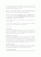 통신언어에 대한 고찰 14페이지