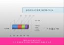 라네즈옴므 전략기획서 12페이지