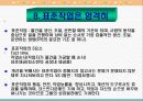 도요다생산방식(TPS)의 본질 ppt 발표자료 13페이지