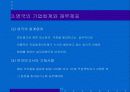 영국회계제도 ppt 자료. 13페이지
