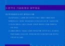 영국회계제도 ppt 자료. 14페이지