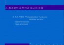 영국회계제도 ppt 자료. 23페이지