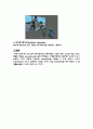 애니메이션 종류와 제작기법 분석 10페이지