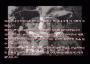 디자이너 샤넬 9페이지