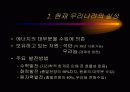 연간 우리나라의 에너지 수입과 사용 실태 3페이지