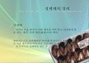 성매매와 포르노그라피 3페이지