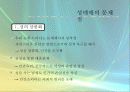 성매매와 포르노그라피 5페이지