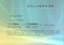 성매매와 포르노그라피 8페이지