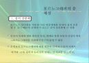 성매매와 포르노그라피 10페이지
