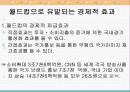 월드컵과 미디어 35페이지