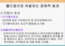 월드컵과 미디어 39페이지